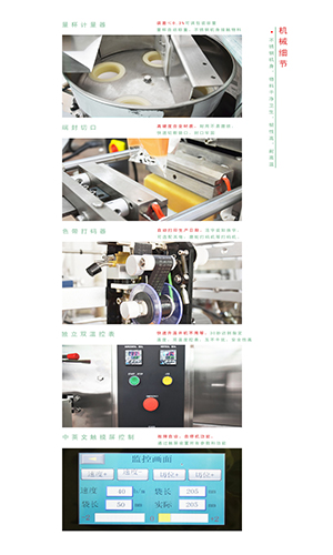 全（quán）自動洗衣槽清洗劑包裝機