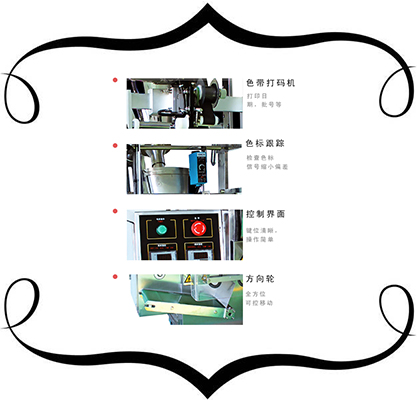 全自動孜然（rán）粉包裝機（jī）